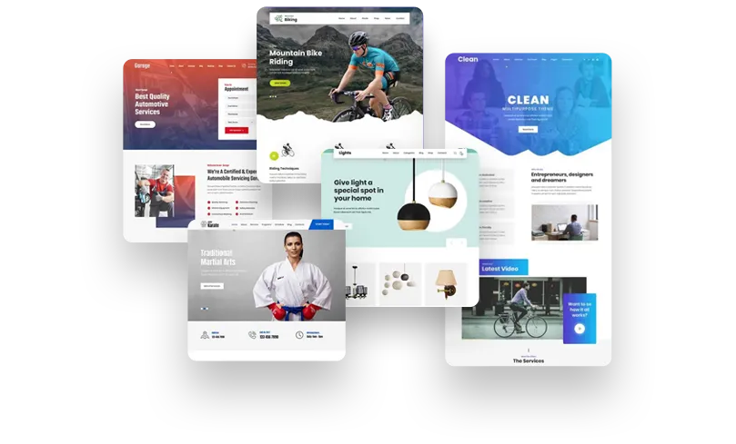 Professional WordPress themes