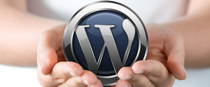 WordPress theme features