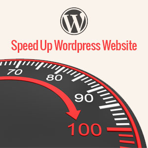 speed up your WordPress site