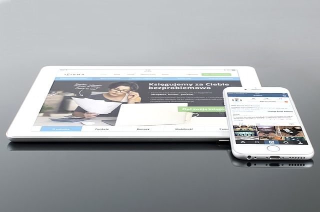 responsive wordpress theme