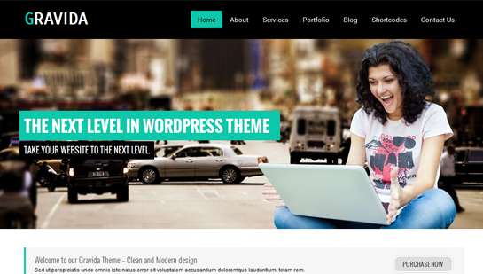 corporate WordPress theme