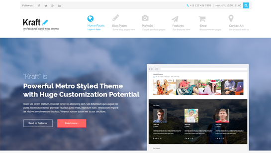 premium WordPress theme