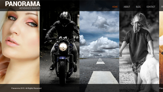 panorama WordPress theme