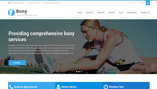 chiropractor WordPress theme