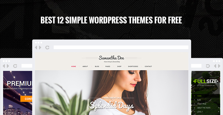 12+ Simple WordPress Themes for Free Easy To Use For Beginners