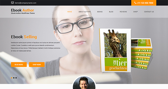 author WordPress theme