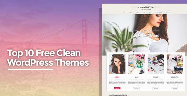 Free Clean WordPress Themes