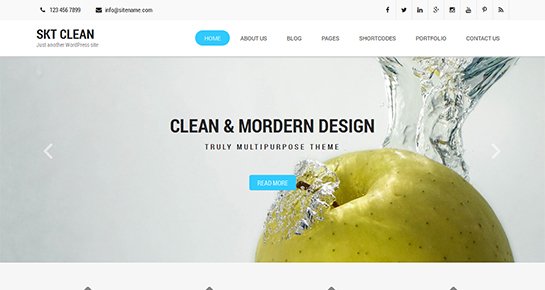 clean WordPress theme