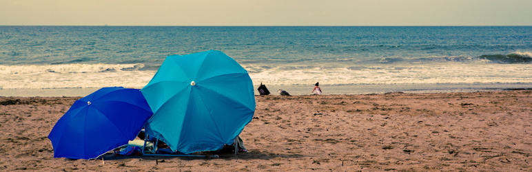 banner-772x250(4)