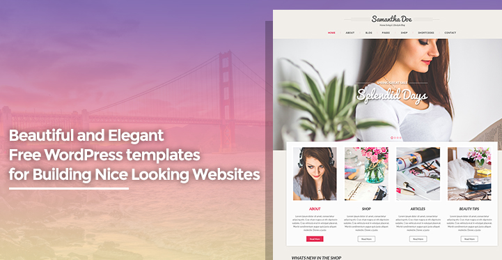 Beautiful and Elegant Free WordPress templates for Building Nice Looking Websites