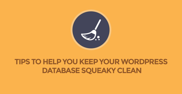 Tips to Help You Keep Your WordPress Database Squeaky Clean