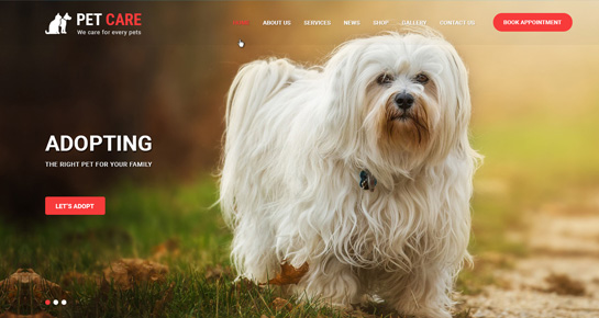 animal wordpress theme