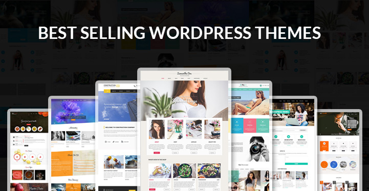 best selling WordPress themes