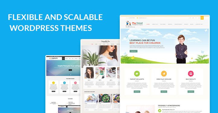 Flexible and Scalable WordPress Themes