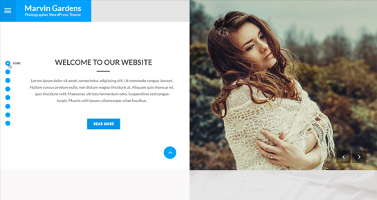 marketing WordPress themes