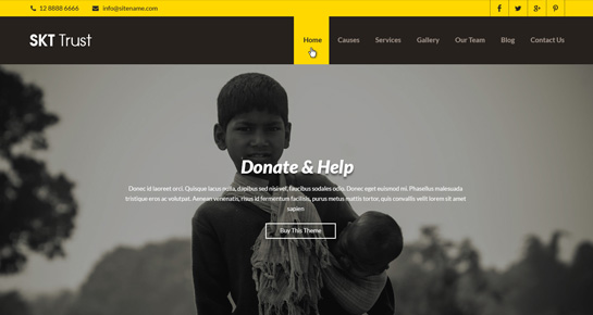 non profit WordPress theme