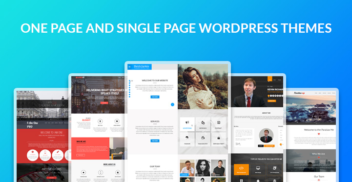 one and single page WordPress theme