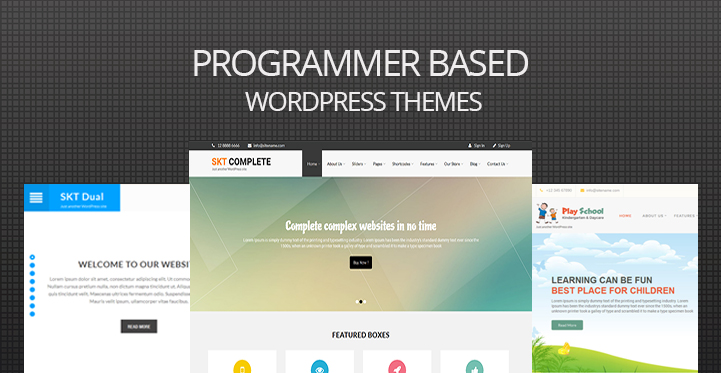 Programmer Based WordPress Themes