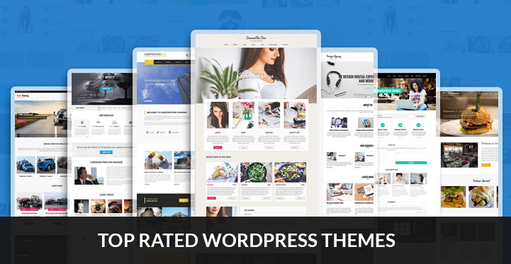 top rated WordPress themes