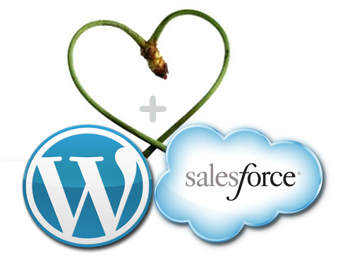 WordPress salesforce integration