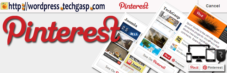 Pinterest Master WordPress plugin