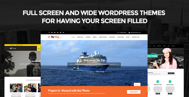 Full Screen and Wide WordPress Themes for Having Your Screen Filled