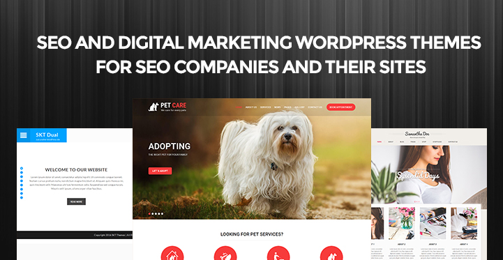 SEO and Digital Marketing WordPress Themes for SEO Companies and Their Sites