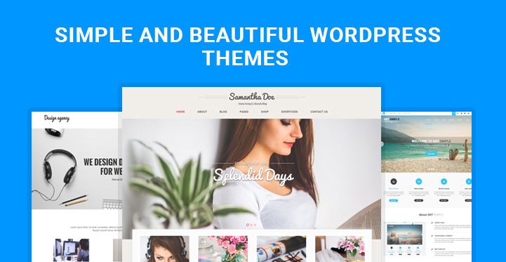 simple beautiful WordPress themes