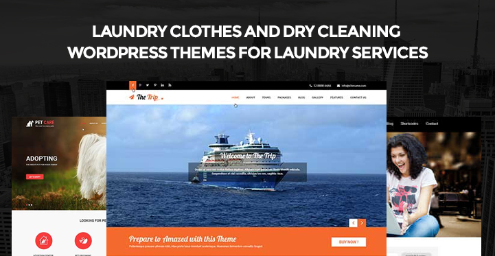 Laundry Clothes and Dry Cleaning WordPress Themes