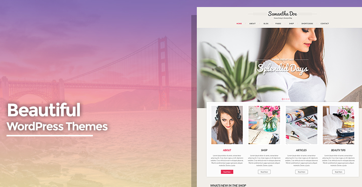 beautiful WordPress themes