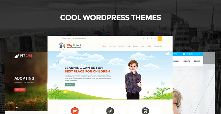 cool WordPress themes