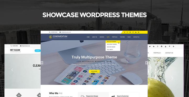 Showcase WordPress Themes