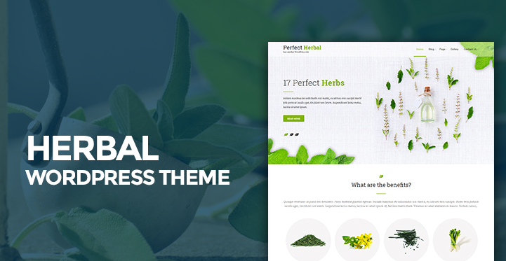 9 Herbal WordPress Theme for Herbal Store and Online Herbs Website