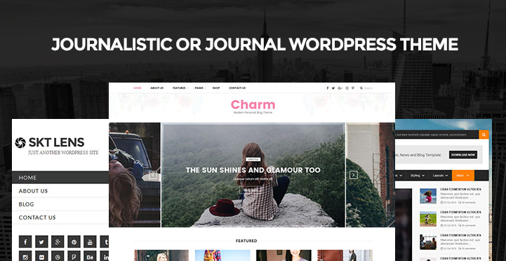Journalistic or Journal WordPress Theme for Having Journal Style Websites