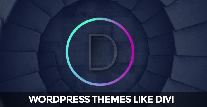 WordPress themes like divi
