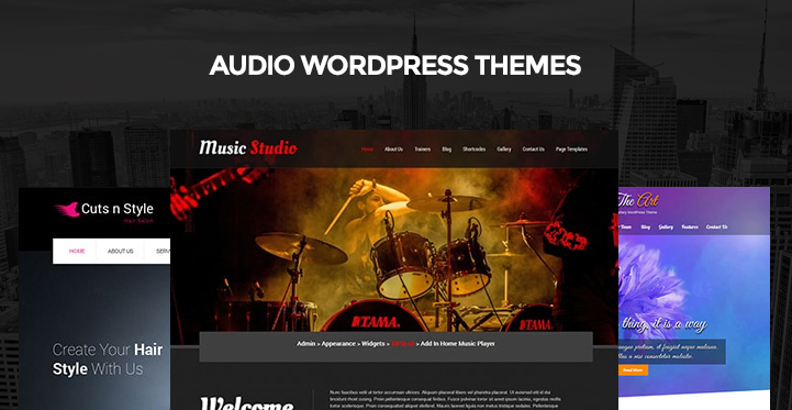 9 Audio WordPress Themes for Audio and Music Albums Playlist Websites