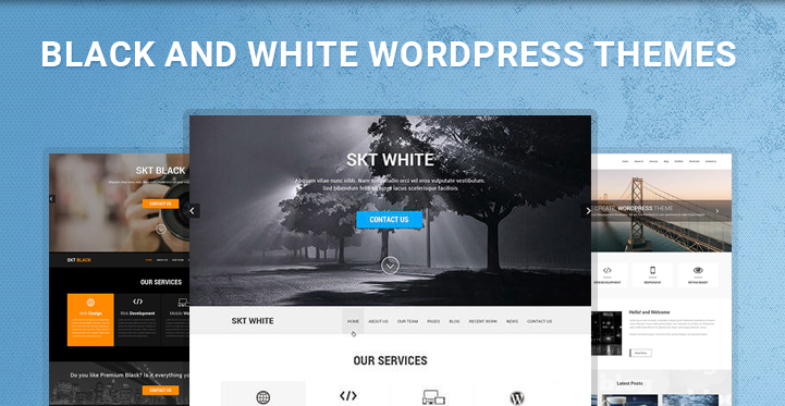 black and white WordPress themes