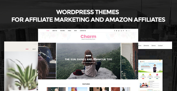 Best WordPress Themes for Affiliate Marketing and Amazon Affiliates