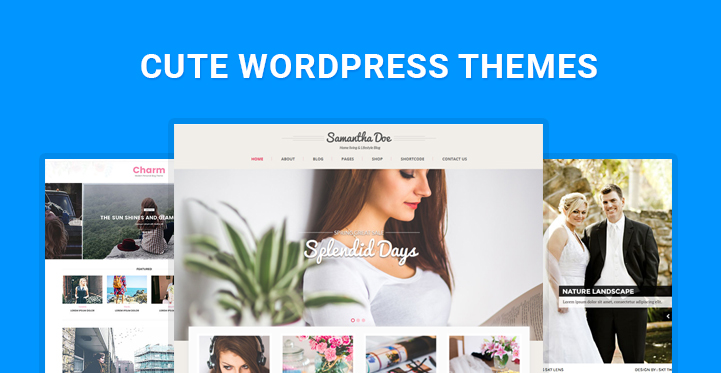 7 Cute WordPress Themes for Creating Cute and Sweet Websites