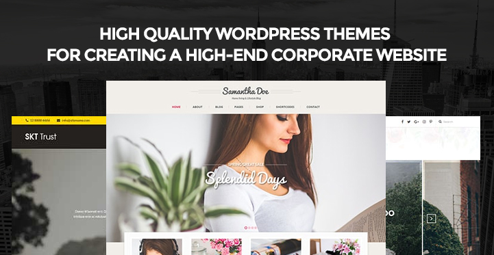 High Quality WordPress Themes