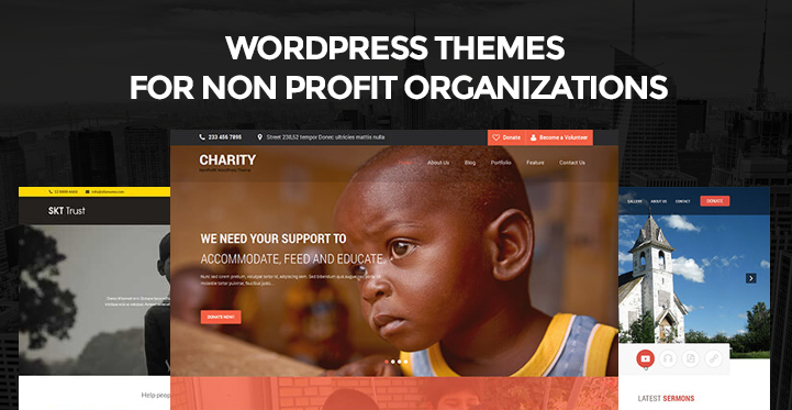 16 WordPress Themes for Non Profit Organizations for Charitable Trusts