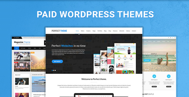 Paid WordPress Themes for Having a Premium Functional Website