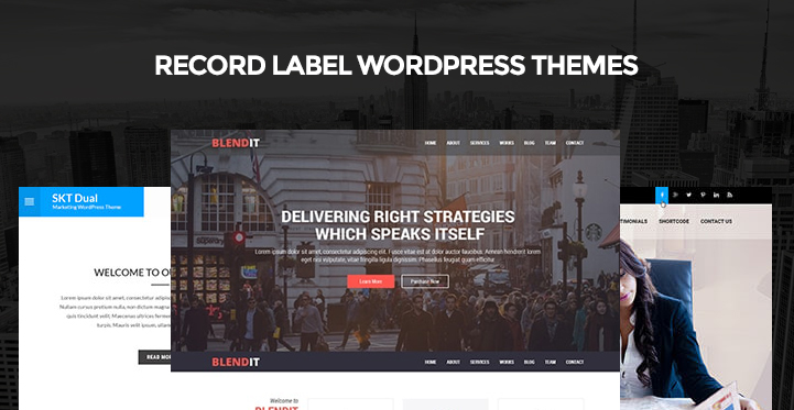 6 WordPress Music Themes for Music Albums Record Label Studios