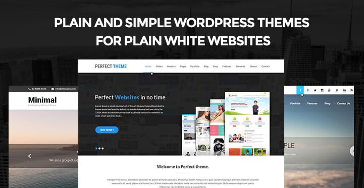 Plain and Simple WordPress Themes