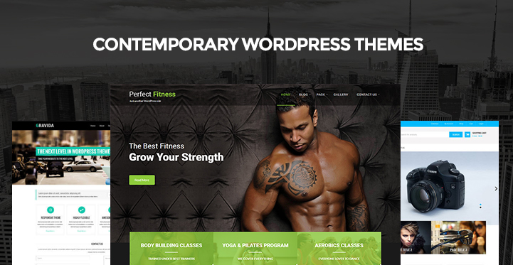 Contemporary WordPress Themes for Creative Artistic and Modern Websites