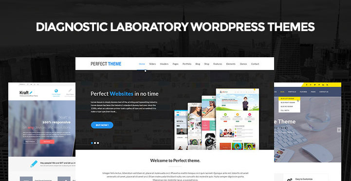 Diagnostic Laboratory WordPress Themes