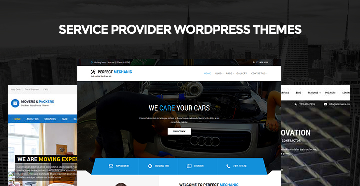 Service Provider WordPress Themes