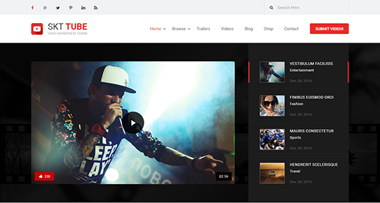 video WordPress theme