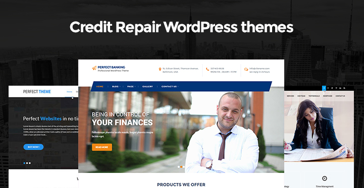 Credit Repair WordPress Themes for Financial Credit Related Websites