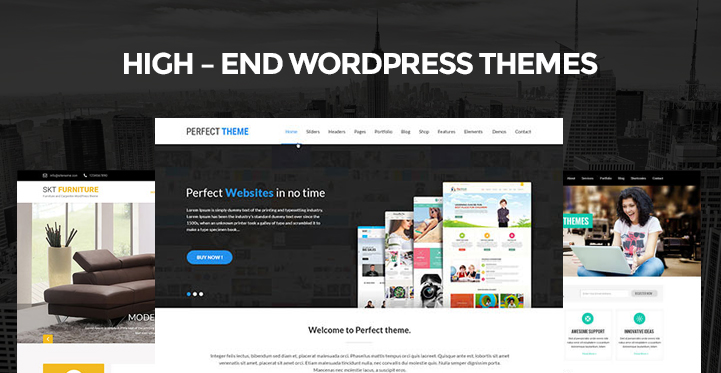 High End WordPress Themes